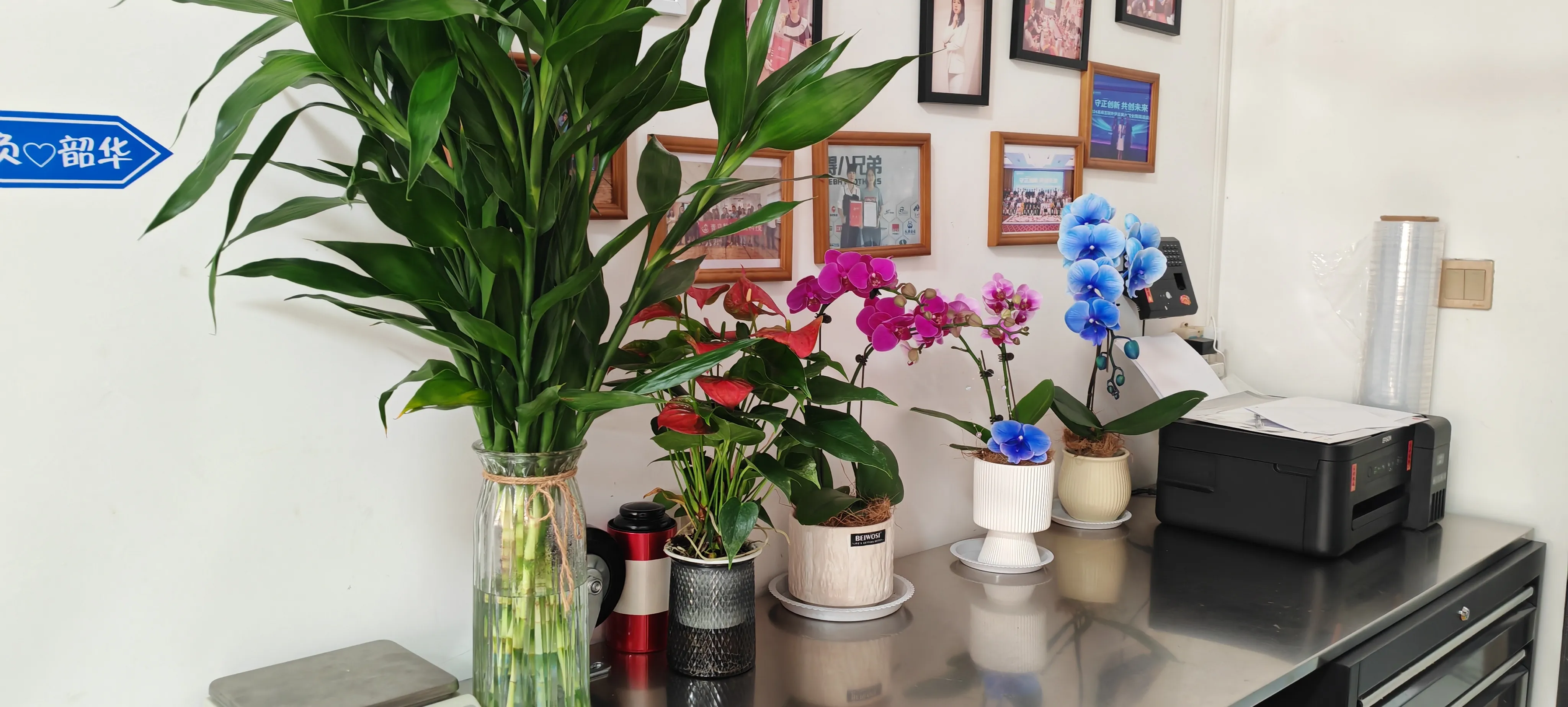 Bem-vindos, novos amigos do JOJO Pack!