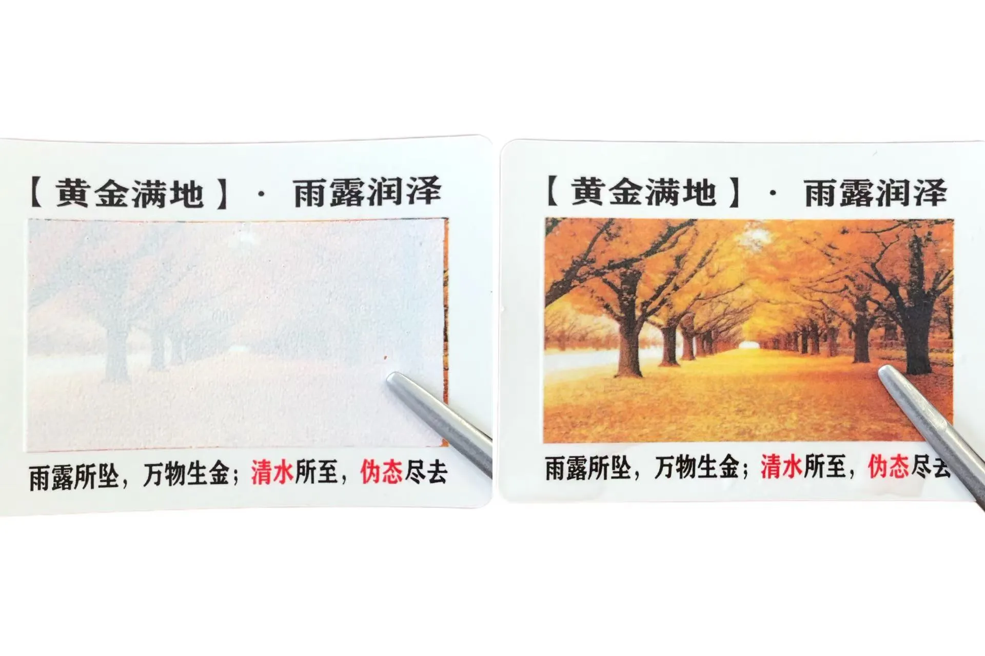 Você conhece rótulos sensíveis à água que mudam de cor?