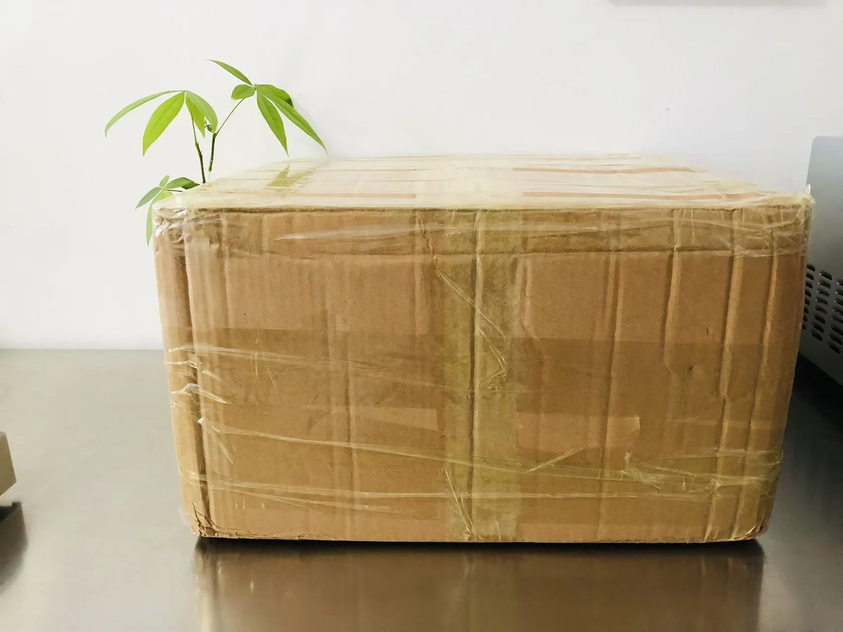 Adesivos epóxi sólidos de desenho animado agora a caminho do Japão